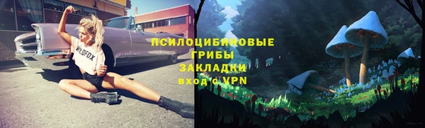 экстази Белокуриха