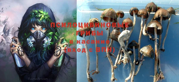 MESCALINE Баксан