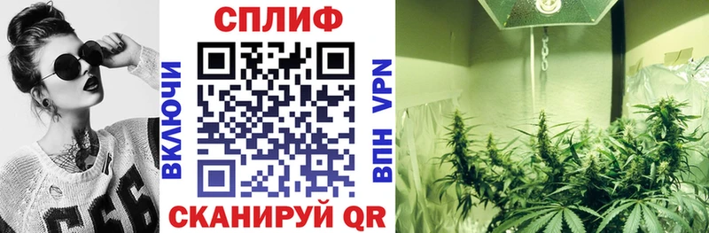 закладки Астрахань Каннабис Ganja